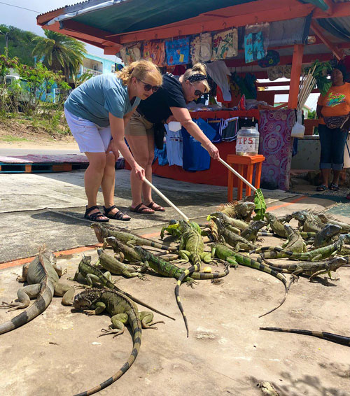 St Maarten island tour
